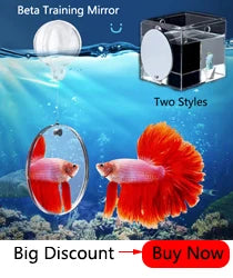 Ceramic House Fish Tank Aquarium Decoration Fish Shrimps Shelter House Pottery Scorpion House Canister Simulation Stone Ornament