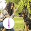 Dog Recall Whistle Waterproof Portable Dog Training Kit Anti Bark Device Compact Dog Training Tools Stop Bark Control Tool