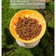 Mushroom Cat Bowl Cute Polka Dot Safe Ceramic Elevated Cat Feeder for Cats and Dogs Drinking Water Bowl Cat Feede Pet Supplies