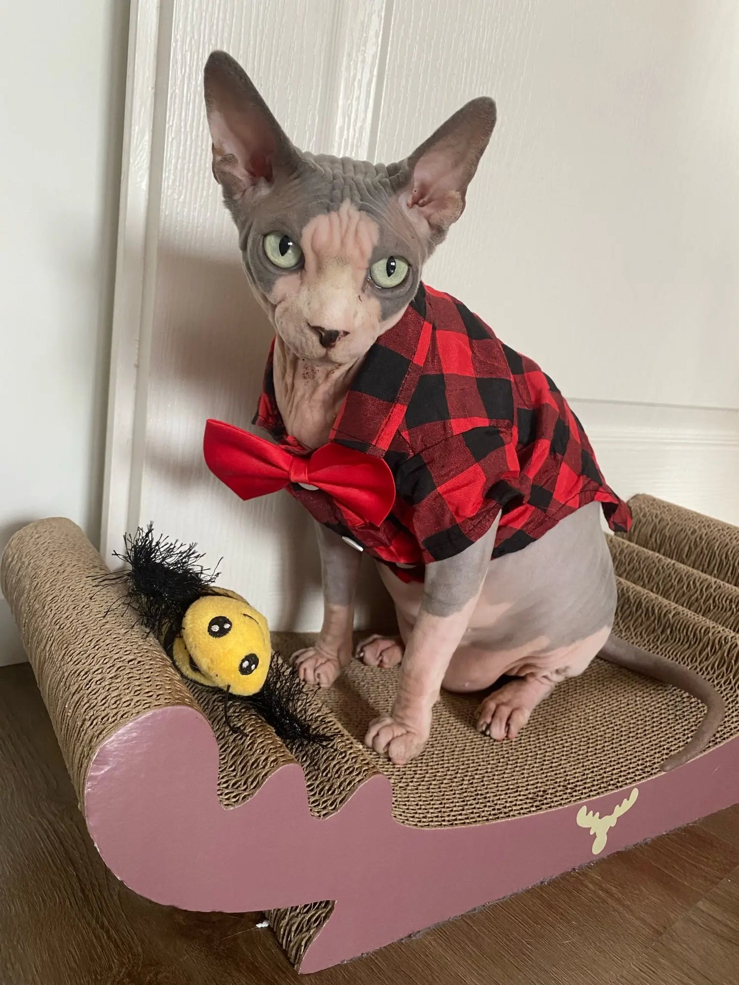 Bowtie Dog Blouse Classical Breathable Plaid T-Shirts Summer Dog Clothes for Small Dogs Puppy Large Cat Vest Chihuahua Yorkies