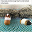 Rabbit Food Basket Grass Rack Rabbit Grass Frame Hay Feeder Rabbit Spring Grass Frame Grass Hay Bowl Rack Pet Food Container