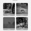 Pet Dog Led Light Collar Luminous Anti-Lost Dog Collar USB Rechargeable Dog Necklace Collar