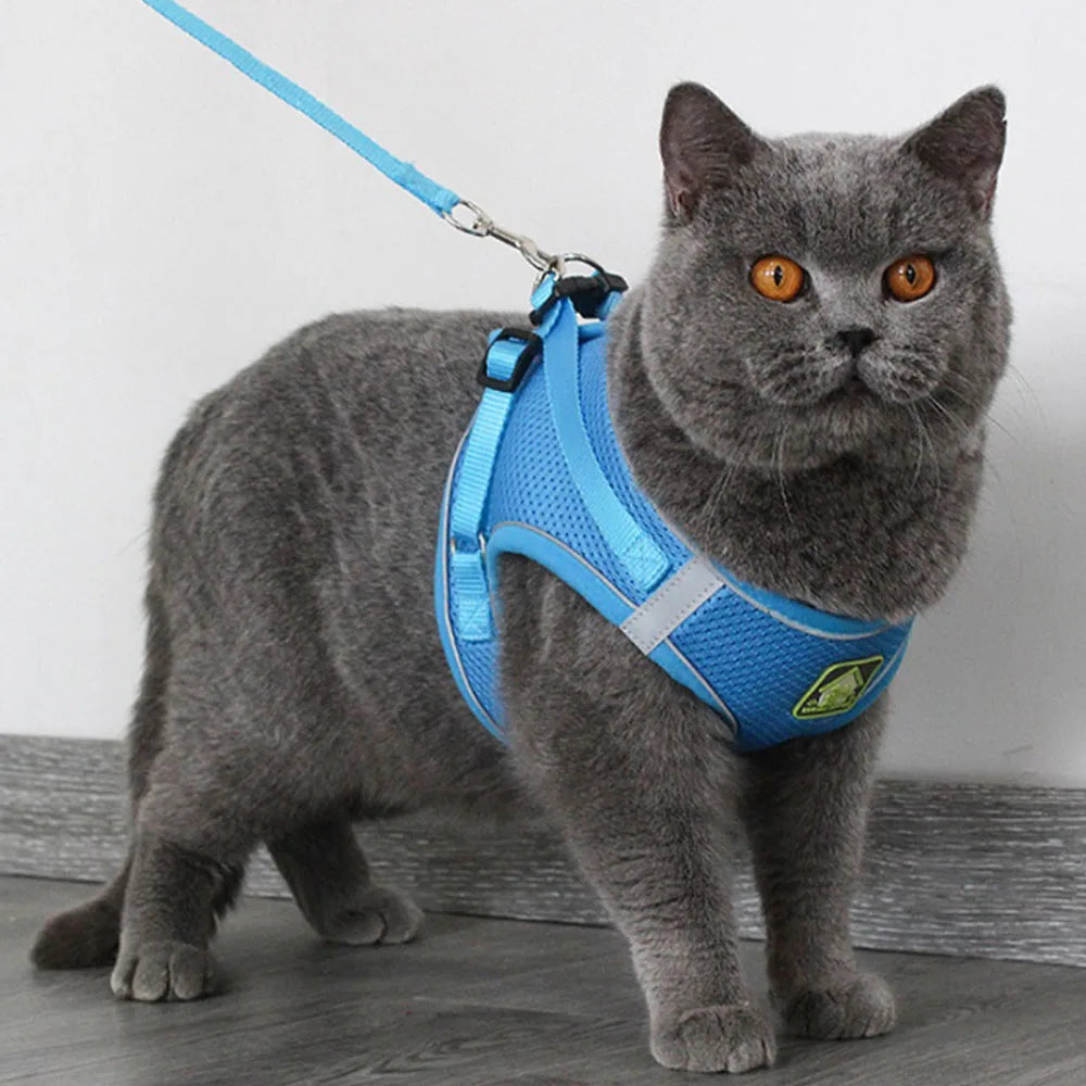Breathable Cat Harness with Leash Anti-Escape Cat Vest Harness Collar for Kitten Pet Accessories Adjustable Puppy Harness Leads