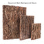 2Pcs Natural Tree Bark Aquarium Decoration Wood Artwork Decor Landscaping Ornaments Decor Fish Tank Background Moss Decor