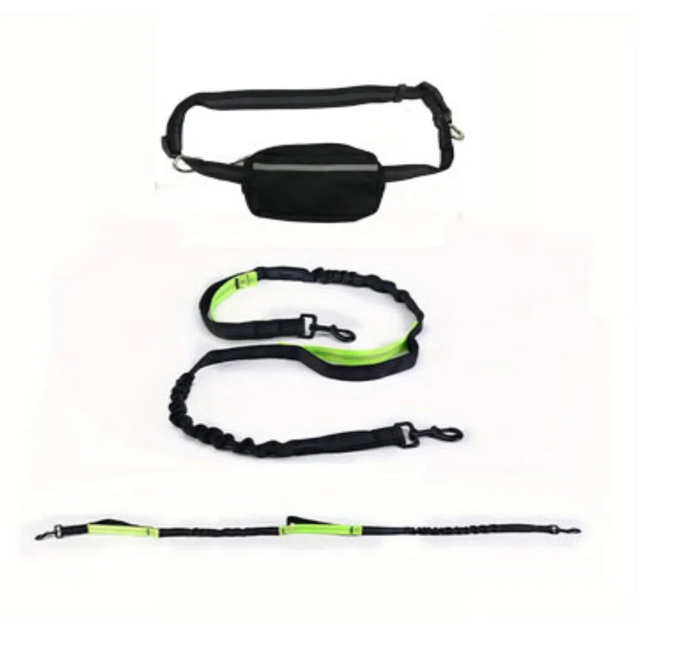 Dog Leash Hands-free With a Waist Bag  Hold Items Harness for Small Breeds Dogs Choker Collar Personalized Nylon Dog Accessories