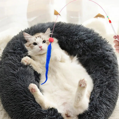 6pcs/set Cat Ball Toy Cat Tail Toy Cat Interactive Ball Creative Fuzzy Toys Bouncy Tails Cat Toy Cat Chaser Toy Kitten Playing