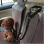 Solid Color Two-in-one Pet Car Seat Belt Nylon Lead Leash Backseat Safety Belt Adjustable Dogs Harness Collar Pet Accessories