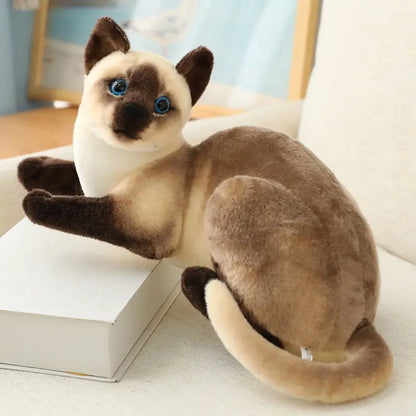 Stuffed Siame Cats Plush Toy 20/25cm Simulation American Shorthair Cute Cat Pet Toys Lifelike Home Decor Birthday Gift