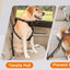 Dog Seatbelt Updated 3-in-1 Pet Car Seat Belts for Dogs Car Tether with Clip Hook Bungee Dogs Safety Belt with Swivel Carabiner