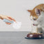 Dog Food Scoop Cat-Ear Shape Food Scoopers Kitten Food Measuring Cups Clear Convenient Scoops Bag Sealing Clip for Dry Dogs