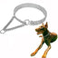Dog Martingale Pinch Choke Collar, Adjustable 2 Row Chrome Heavy Duty Training Slip P Chain Dog Collar for Medium Large Dogs