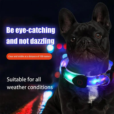 Dog Led Light Up Collar Rechargeable Waterproof Glowing Adjustable Dog Collar Weather Proof Dog Lights For Night Walking