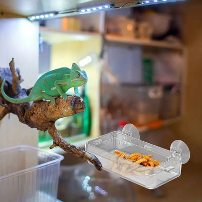 Reptile Ledge Feeder Suction Cup Gecko Ledge Feeder Anti-Escape Mealworm Bowl Durable Feeding Basin Pet Supplies