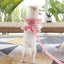 Pink Flower Puppy Harness Mesh Breathable Small Girl Dog Cat Vest Harness Cute Doggy Lace Dress Harness with Leash for Walking