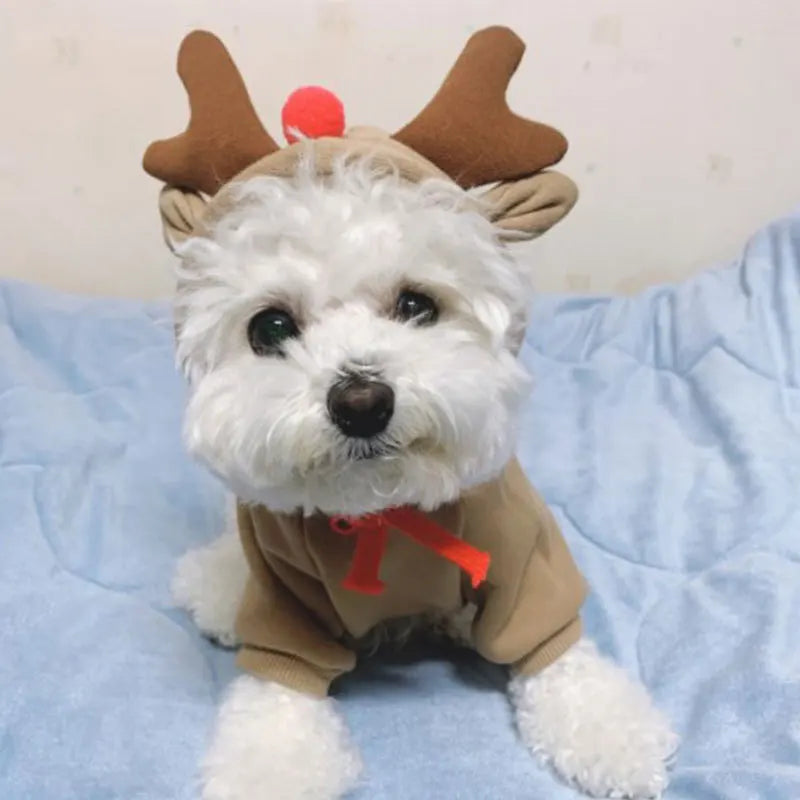 Funny Pet Dog Cat Halloween Costume Dog Costumes for Small Dogs Cosplay Elk Transformed Winter Warm Dog Clothes