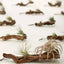 Natural Tree Trunk Aquarium Decoration Sunken Wood Artwork Decor Landscaping Ornaments Decor Fish Tank Ornament Different Shape