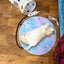Pet Heating Pad Dog Warming Pad Non Slip Bottom Easy Clean Soft Cover Chew Resistant Heated Blanket For Dogs For Indoor Pet