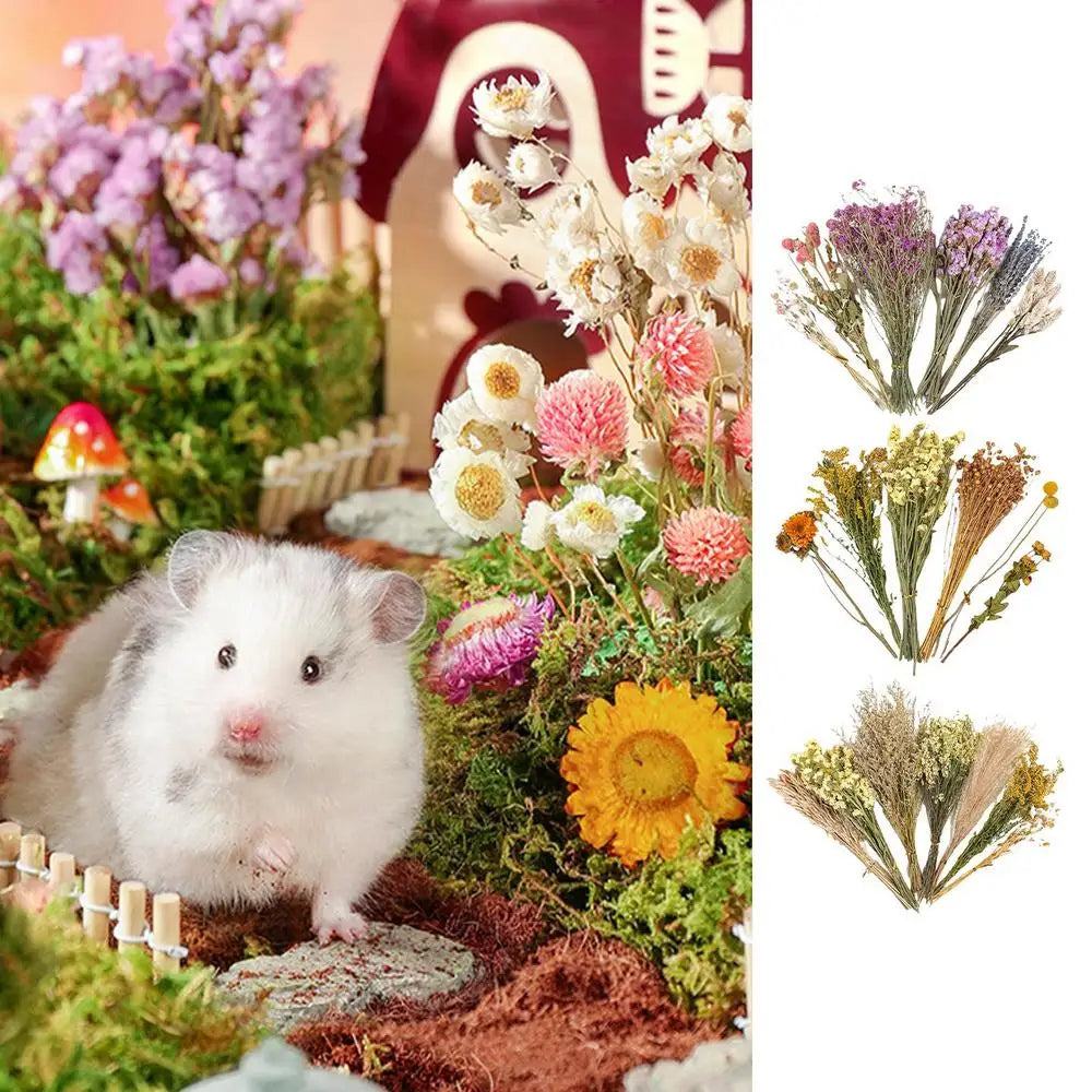 Flower And Plant Bedding Natural Hamster Bedding Hamster Deodorizing Bedding Small Animal Deodorant Product Landscaping Supplies