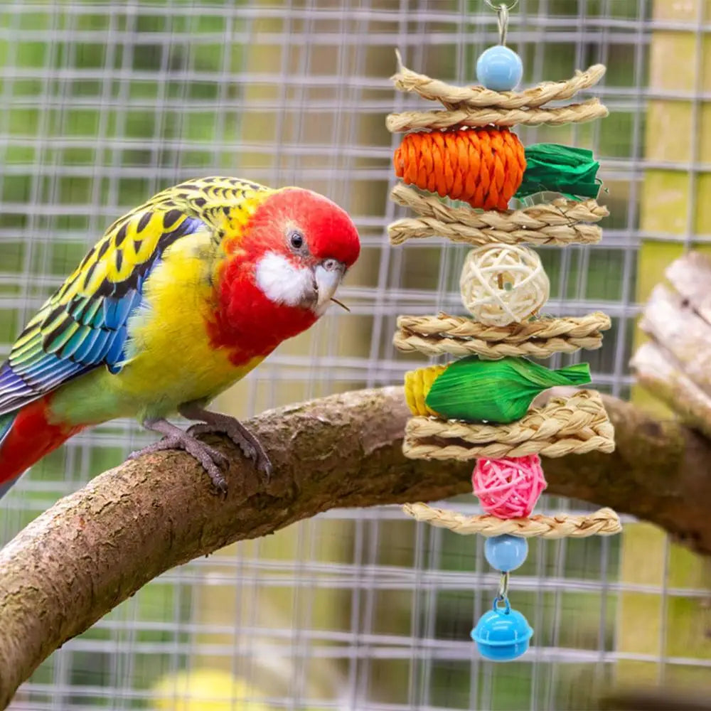 Bird Chew Toys Parrot Teething Toy Cuttlefish Bone Chewing Toys Braided Carrots Molar Stone Cultivate Foraging Instincts Molar