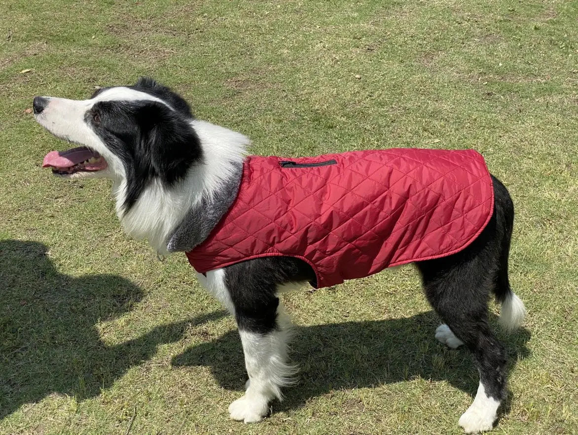 Warm Fleece Collar Dog Coat Jacket Double-Sided Winter Dog Coat Waterproof Puppy Clothing For Small Medium & Large Dogs Supplies