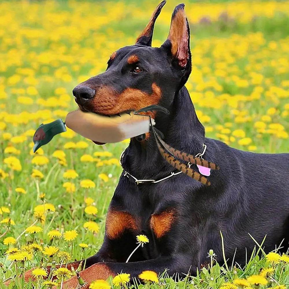 Duck Bumper Toy Dog Retriever Outdoor Training Toy Dog outdoor Training Duck Toy For Dogs Simulation Animal Shaped Toys for Pet