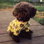 Anti-slip Cat Sunglasses Pet Accessories Small Dog Sun Glasses Classic Retro Circular Glasses for Kitten Photos Props Cosplay