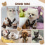 Luxury Dog Sweater Pet Cardigan Striped Knitted Dog Coat Chihuahua Warm Clothes Winter Jackets for Dog Bichon Dog Accessories