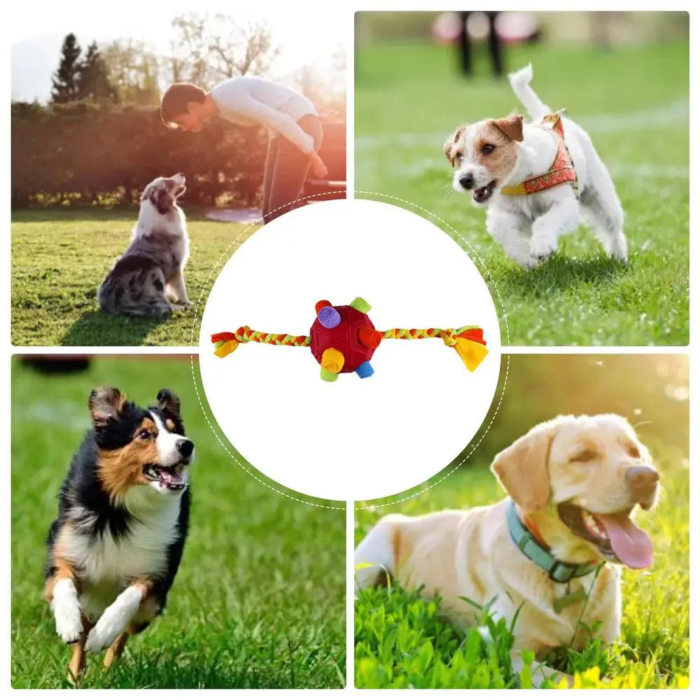 Dog Treat Hiding Toy Snuffle Ball Interactive Slow Feeder Treat Toy Slow Food Training Sniff Ball Dog Exquisite Comfortable