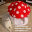 Pet  Warm Bed Cave Nest Mushroom Shape Cat Winter Tent Warming Puppy House Cozy Kitten Sleeping Tent Cave Beds For Small Pets