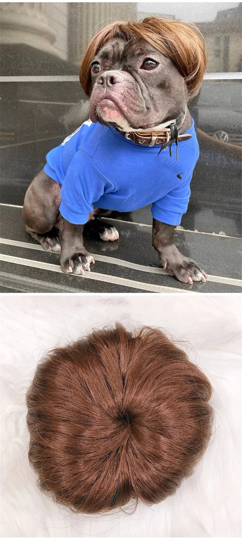Long Hair Cosplay Hat for Cat Golden Brown Braid Pet Dog Accessories Costume Adjustable Headgear Curly Punk Small Puppy Caps