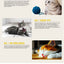 Cat Toy Cat Teaser Sticks Christmas Series Cat Stick Doll Old Reindeer Cat Stick Christmas Gift Bells Pet Supplies.