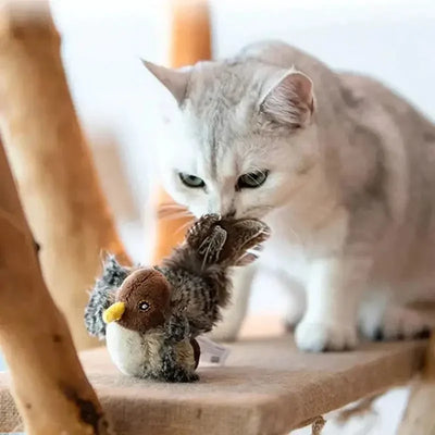 Sound Bird Toy Cat Feather Toys Cat Feather Toys Interactive Cat Toy With Sounds Sound toys cricket, bird, hedgehog, mouse