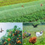 Garden Netting Green Woven Mesh Protect Plants Fruits Flowers Trees Stretch Fencing Durable Net Stops Birds Deer Animals