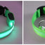 LED Dog Collar USB Rechargeable - Bright & High Visibility Lighted Glow Collar for Small Medium Large Breeds Pet Night Walking