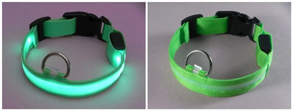 LED Dog Collar USB Rechargeable - Bright & High Visibility Lighted Glow Collar for Small Medium Large Breeds Pet Night Walking