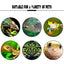 Frog Habitat Cute Frog Shaped Wall-Mounted Tank Decoration For Frog Cute Frog Terrarium Decor Fish Tank Tree Frog Habitat For