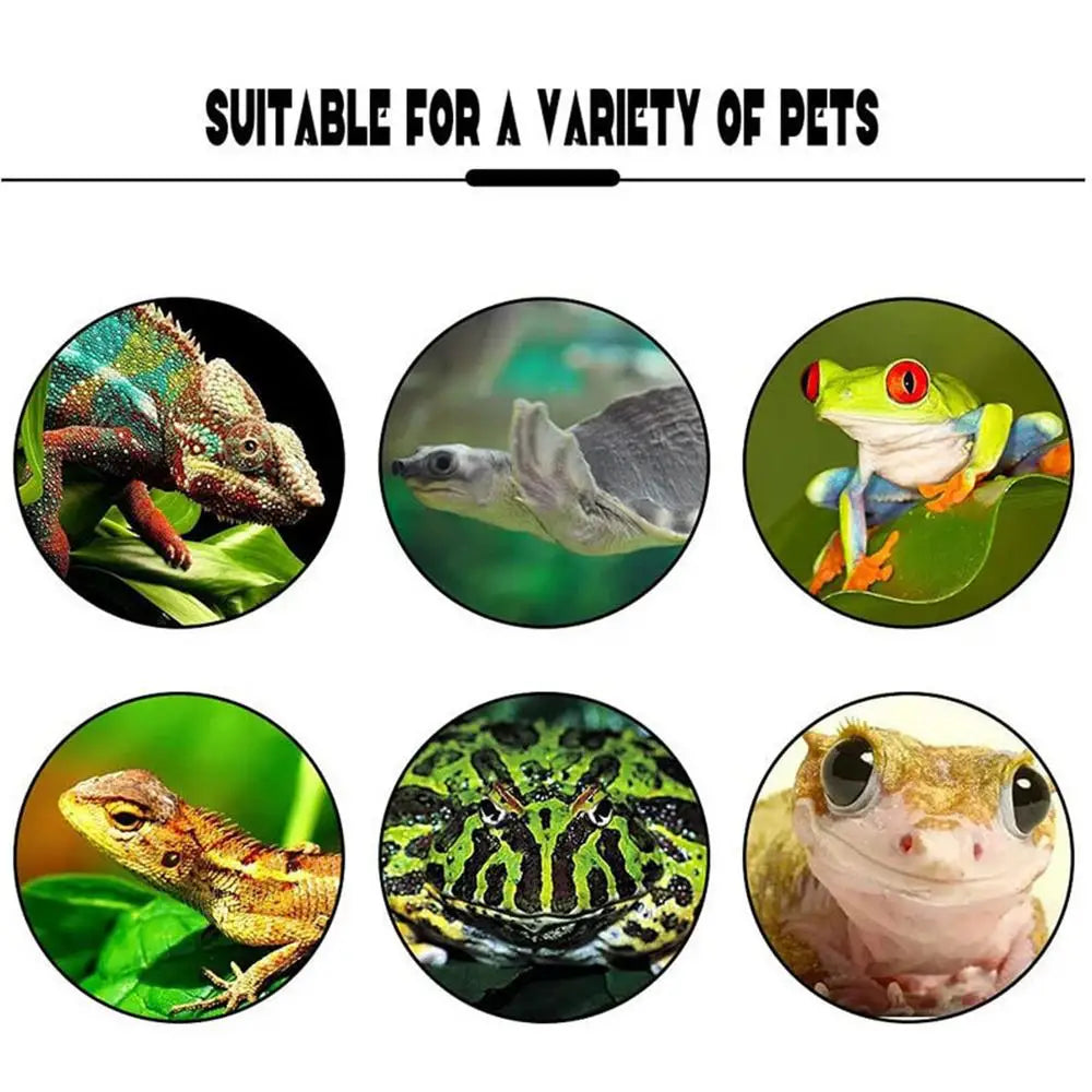 Frog Habitat Cute Frog Shaped Wall-Mounted Tank Decoration For Frog Cute Frog Terrarium Decor Fish Tank Tree Frog Habitat For