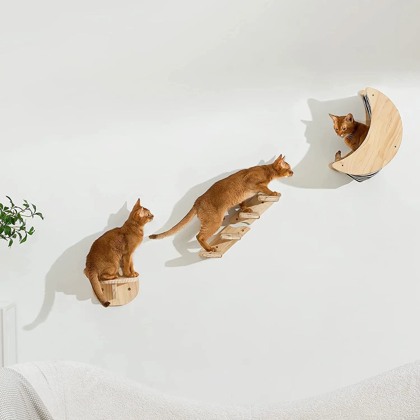 Solid Wood Wall Mounted Cat Tree Double Layered Jumping Platform Ladder Cat Hammock Furniture Cat Climbing Frame