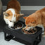 Dog Elevated Bowls Stand Adjustable Height Pet Slow Feeding Dish Bowl For Pet Dog Meal Mat Elevated Bowl Mat