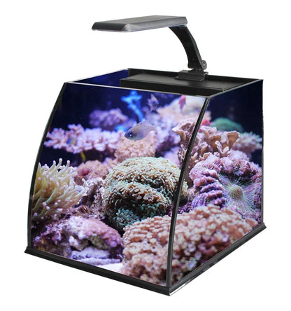 Table Curvedcurved Saltwater Marine Fish Tank Aquarium