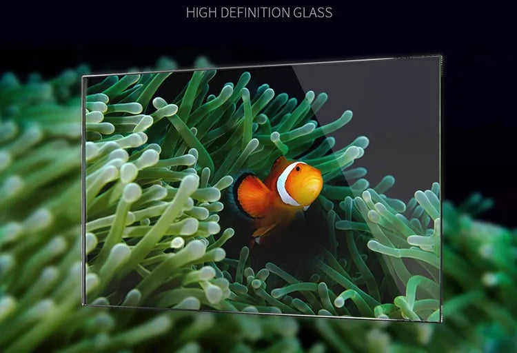 Table Curvedcurved Saltwater Marine Fish Tank Aquarium