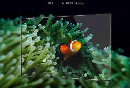 Table Curvedcurved Saltwater Marine Fish Tank Aquarium