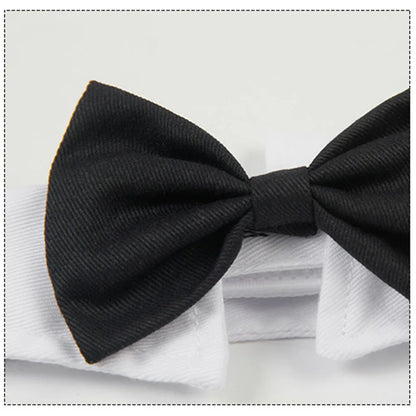 Pet Dog Cat Adjustable Bow Tie Collar Puppy Necktie Bowknot Bowtie Pet Cat Holiday Wedding Decoration Accessories for Small Dogs