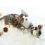 Interactive Cat Toys Electric Squeaky Simulation Bird Plush Cats Pets Teasing Toys with Feather Catnip Kitten Chirping Bird Toys