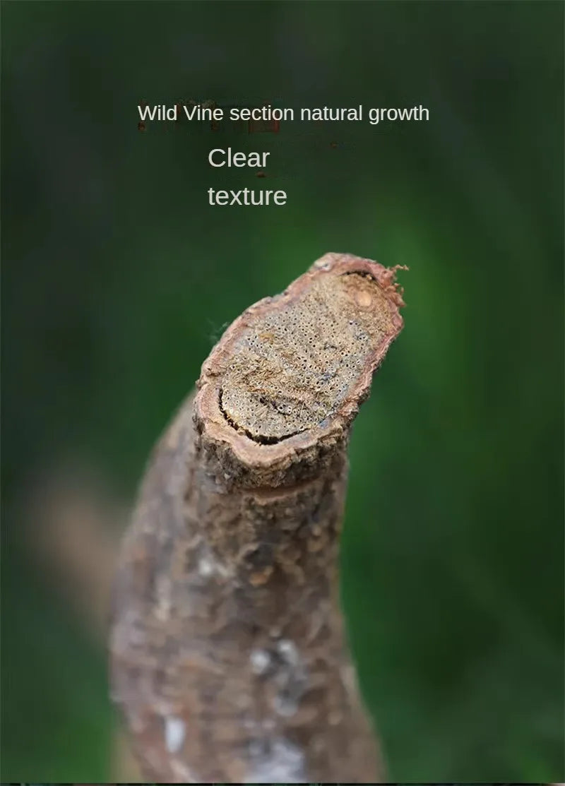 Climbing Pet Climbing Wooden Landscape Tree Vine Natural Dead Wood Crawler Rainforest Tank Tree Frog Crossing River Dragon Vine