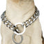 Gold Dog Chain Collar, Large Metal Dog, Medium Link Link, Small Steel, Cuban, Walking, Training