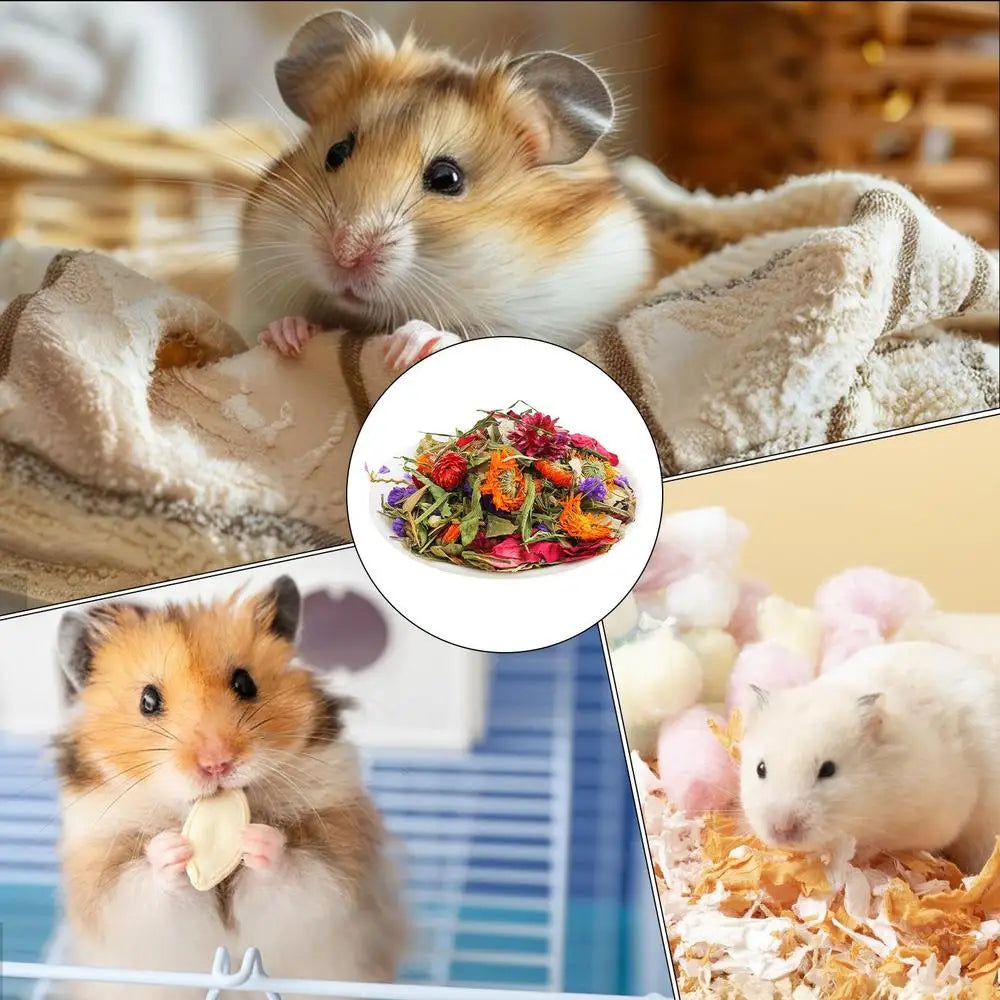Hamster Flowers Natural Dried Flower Gerbil Bedding Odor Control Enclosure Habitat Decor For Rabbits Gerbils Or Other Small