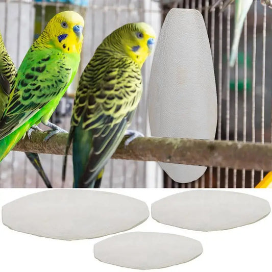 10pcs Cuttlefish Bone For Birds Natural Cuttlefish Bone Parrot Chewing Cuttle Bone Health Supplies Cuttlefish Bone Bird Food