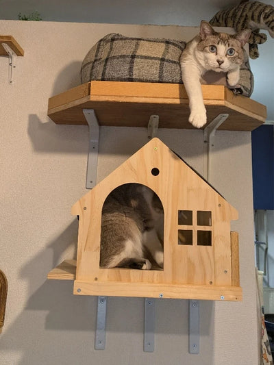 Cat Wall Mounted Wooden Climbing Shelves Cat House and Hammock for Platform and Ladder Turning Channel for Cat Indoor Furniture