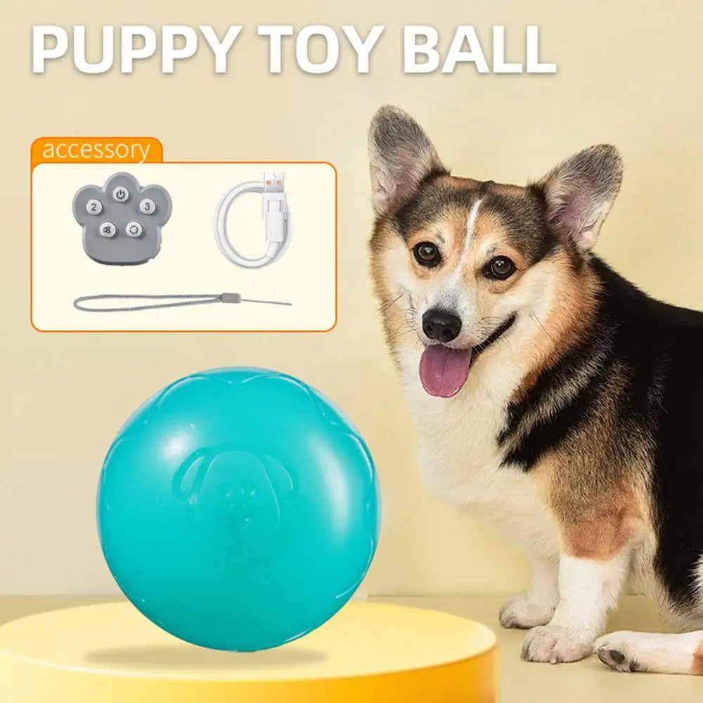 Automatic Rolling Ball Toys Safe Dog Toy Balls Bite Resistant Dog Toys Puppy Toys Fun Interactive Play for Pet Dog Puppy